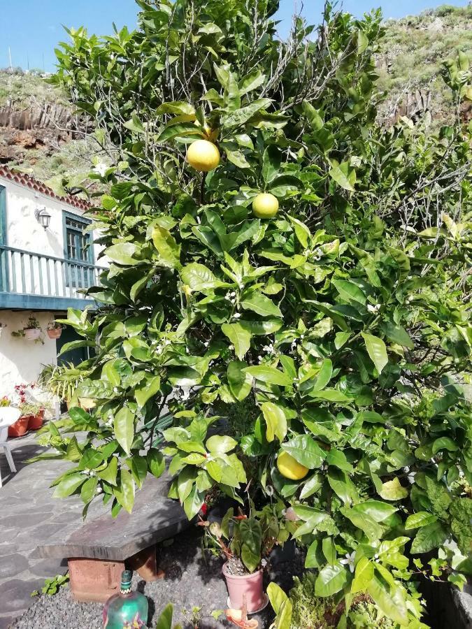 Grosse Finca 19Jh, Pool, Terrasse, Nahe Santa Cruz Santa Cruz de la Palma  Exteriör bild