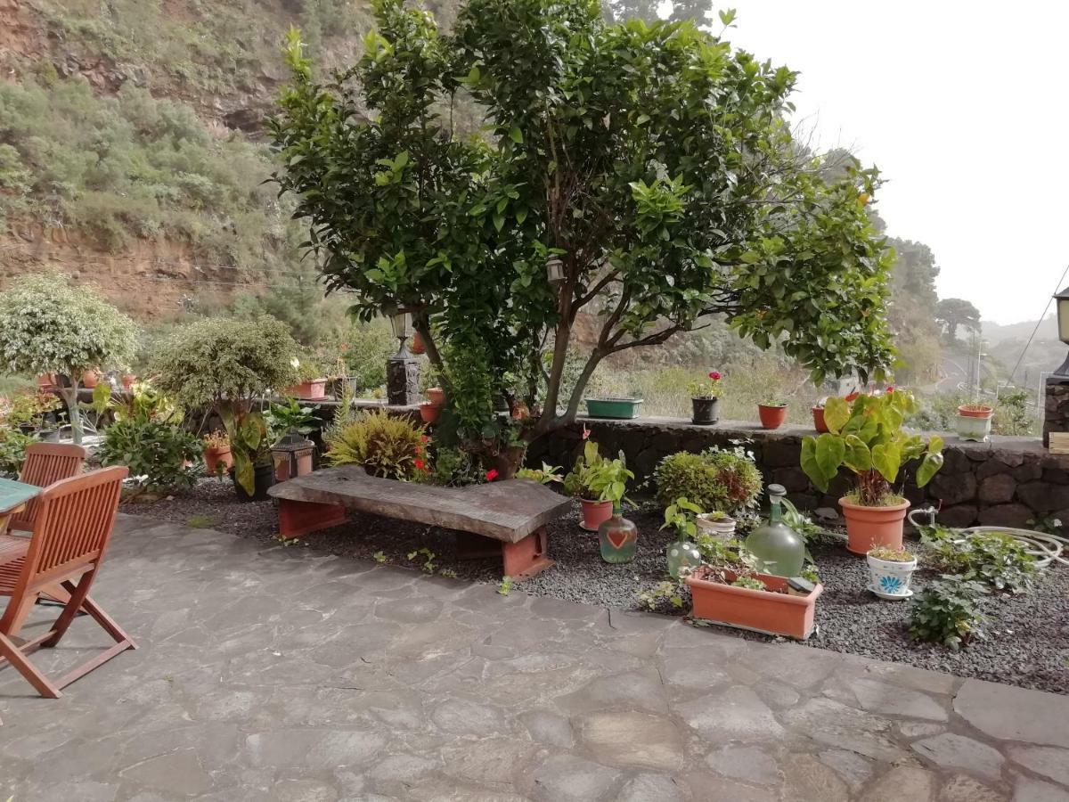 Grosse Finca 19Jh, Pool, Terrasse, Nahe Santa Cruz Santa Cruz de la Palma  Exteriör bild