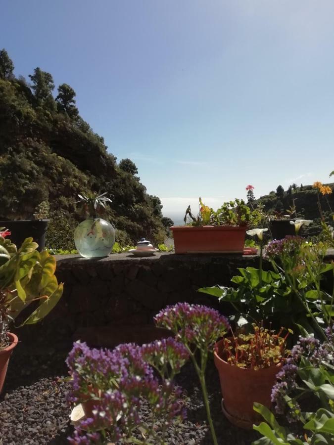 Grosse Finca 19Jh, Pool, Terrasse, Nahe Santa Cruz Santa Cruz de la Palma  Exteriör bild